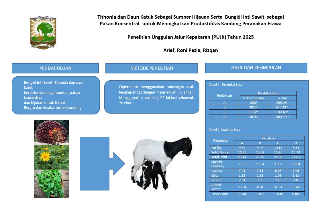 TITHONIA DAN DAUN KATUK SEBAGAI SUMBER HIJAUAN SERTA BUNGKIL SAWIT SEBAGAI PAKAN KONSENTRAT UNTUK MENINGKATKAN PRODUKTIFITAS KAMBING PERANAKAN ETAWA